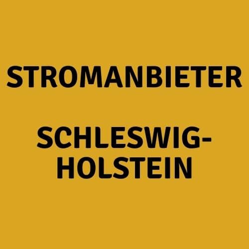 Der Stromanbieter Schleswig-Holstein
